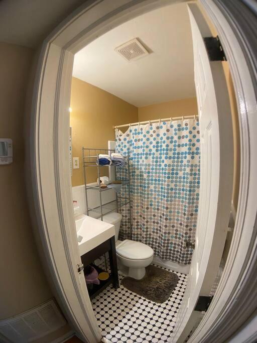 Private One-Bedroom 8 -Directly Across From Beach St. Pete Beach Eksteriør billede